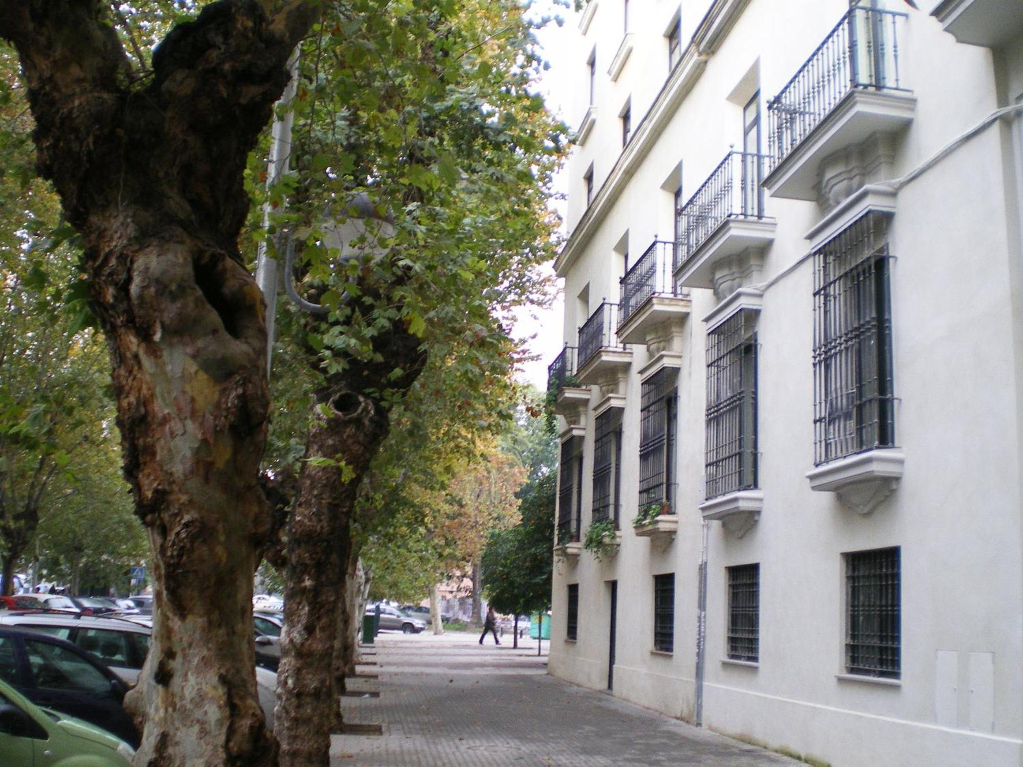 Apartamentos Murallas De Sevilla Zewnętrze zdjęcie