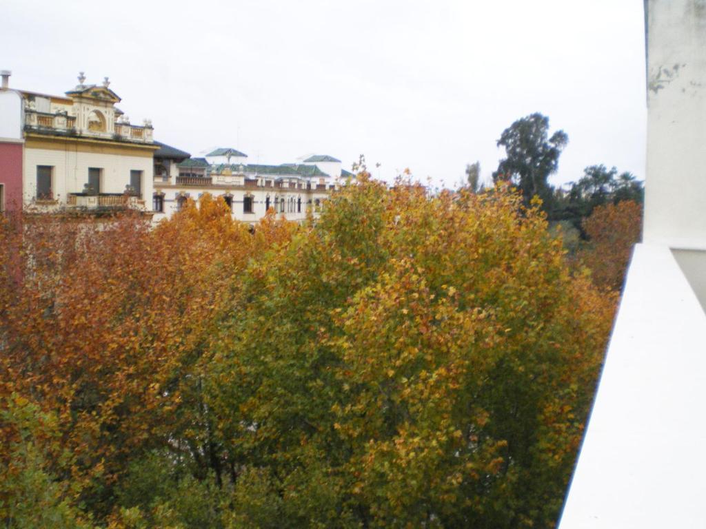 Apartamentos Murallas De Sevilla Zewnętrze zdjęcie